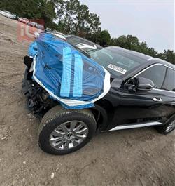 هيونداي باليسيد